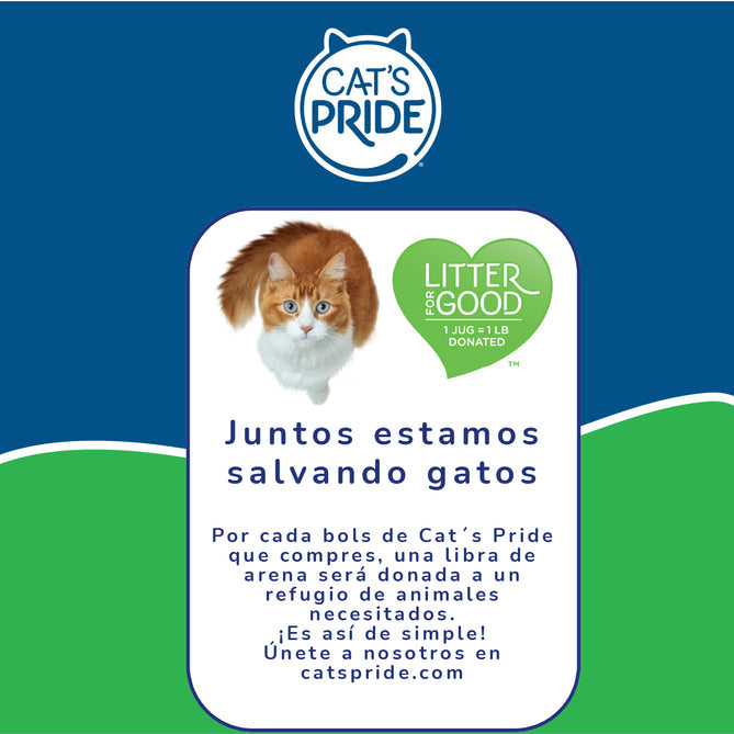 CAT'S PRIDE BAKING SODA CON OLOR 10 LB