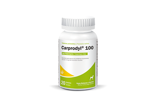 CARPRODYL - PETMEDICA