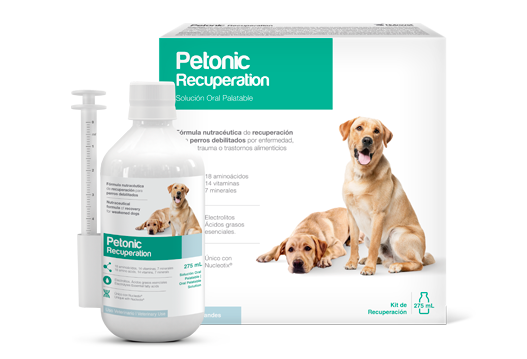 PETONIC RECUPERATION PERROS - PETMEDICA