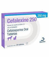 CEFALEXINE - DECHRA BROVEL