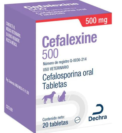 CEFALEXINE - DECHRA BROVEL