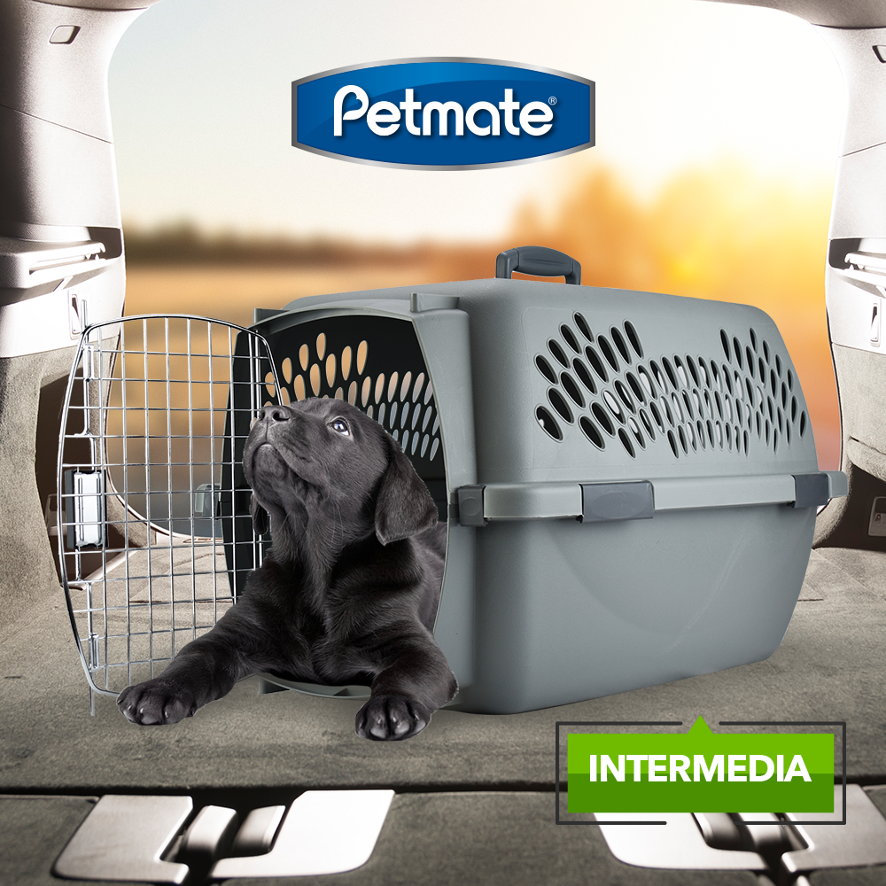 TRANSPORTADORA PETMATE TAXI