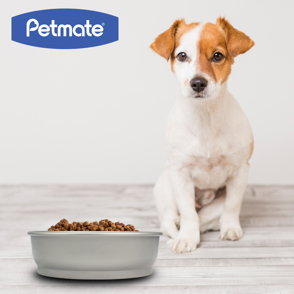 PLATO ANTIDERRAMES 48 OZ PETMATE