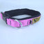 COLLAR DE NYLON XOLO 3CM (varios colores) - SILVERADO