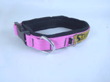 COLLAR DE NYLON XOLO 3CM (varios colores) - SILVERADO