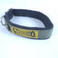 COLLAR DE NYLON XOLO 3CM (varios colores) - SILVERADO