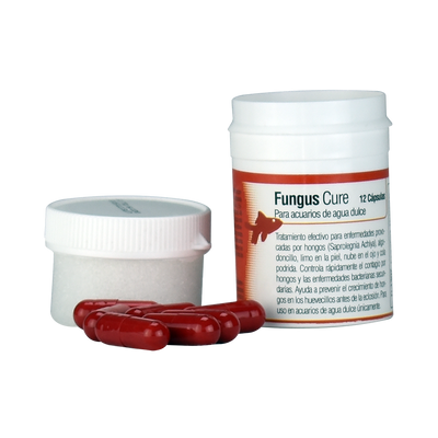 FUNGUS CURE 12 CÁPSULAS