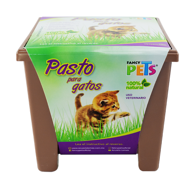 PASTO P/GATOS