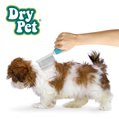 PEINE DE METAL DRY PET