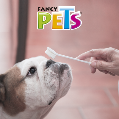 SET DE CEPILLOS DENTALES P/MASCOTA FANCY PETS 3PZ