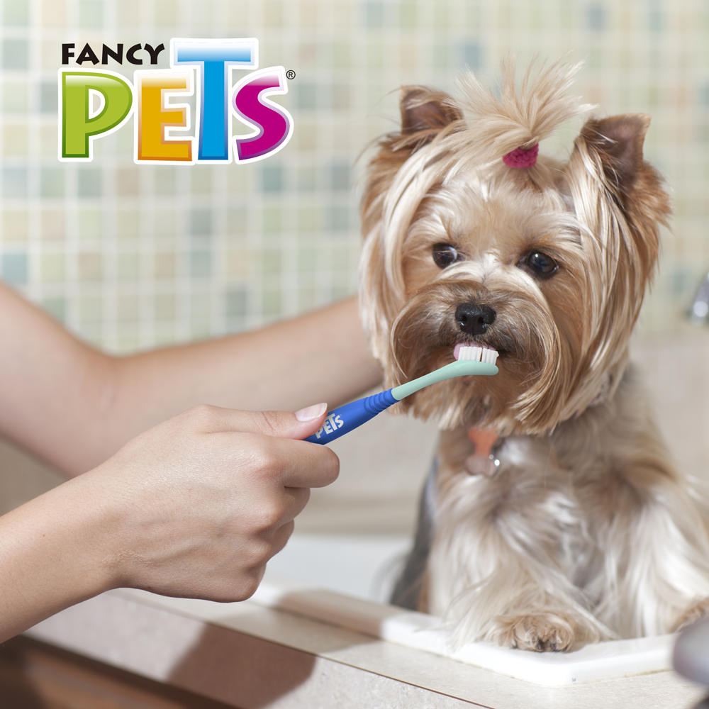 CEPILLO DENTAL DE DOBLE CABEZAL 360 FANCY PETS