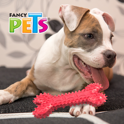 JUGUETE HUESO DE CAUCHO P/PREMIO FANCY PETS