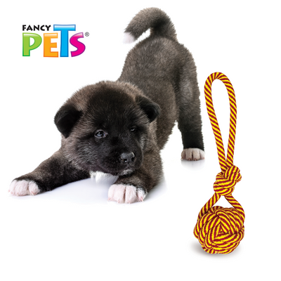 JUGUETE JALADERA CON BOLA FANCY PETS