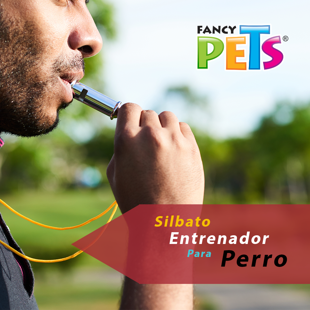 SILBATO ENTRENADOR FANCY PETS