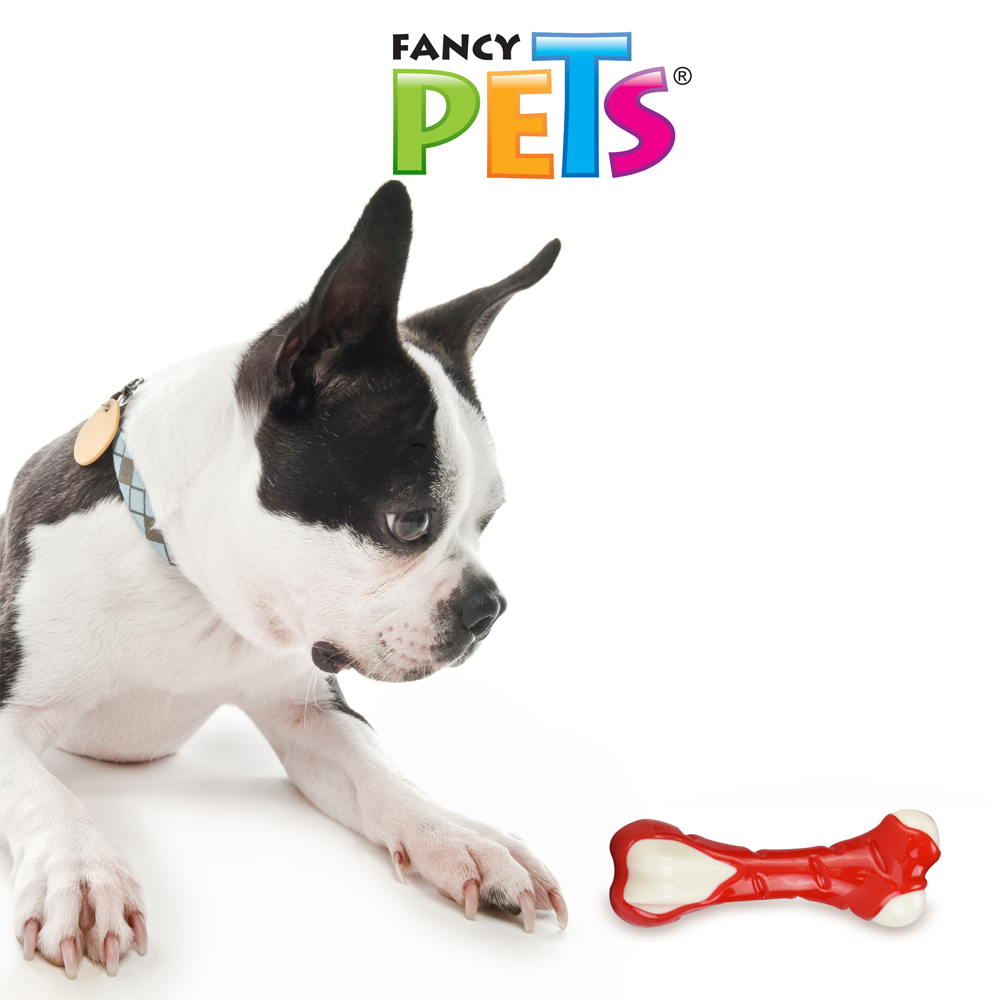 JUGUETE HUESO SABOR POLLO FANCY PETS