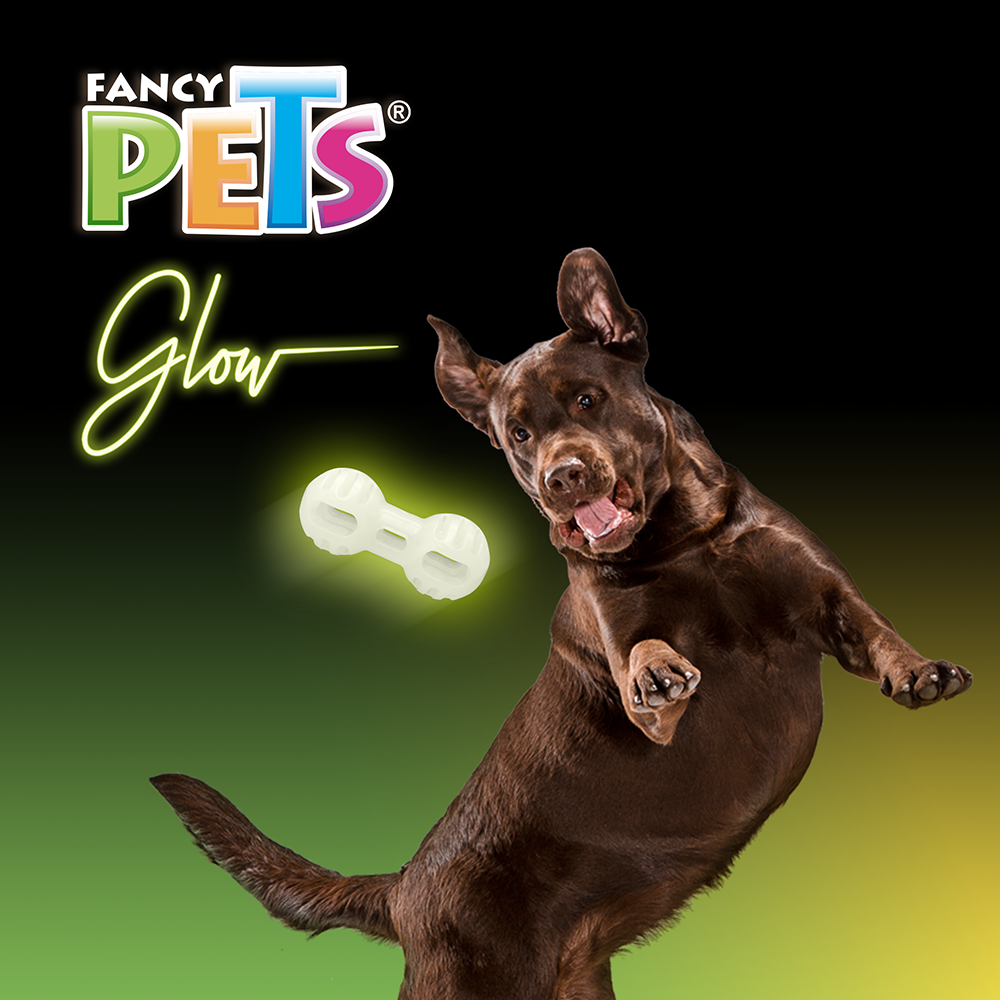 JUGUETE PELOTA GLOW FANCY PETS