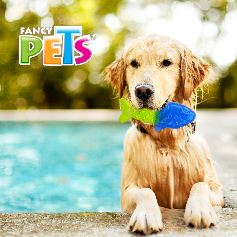 JUGUETE PEZ CONGELABLE COOL FANCY PETS