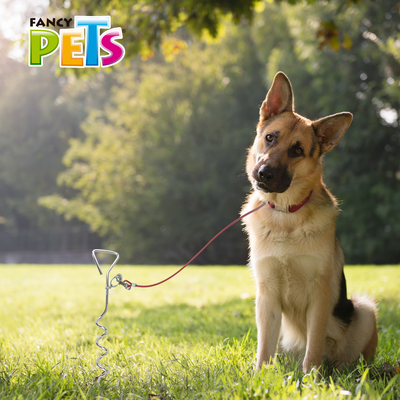 ESTACA P/SUJETAR MASCOTAS 40CM FANCY PETS