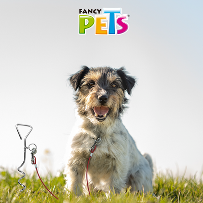 CABLE P/SUJETAR MASCOTAS 5 M FANCY PETS