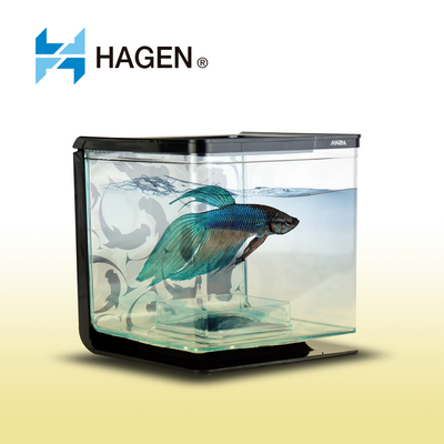 BETTA KIT YING YANG 0.5 GAL (2 L) HAGEN