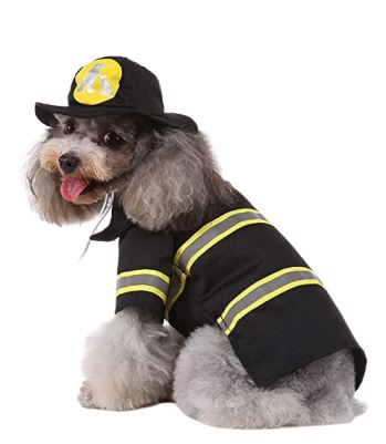 HW02 Disfraz Bombero, Paw Pets