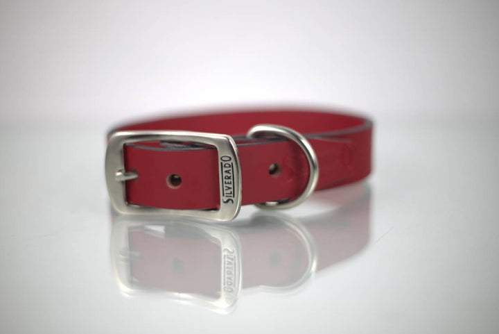 COLLAR DE PIEL LISO 2CM - SILVERADO