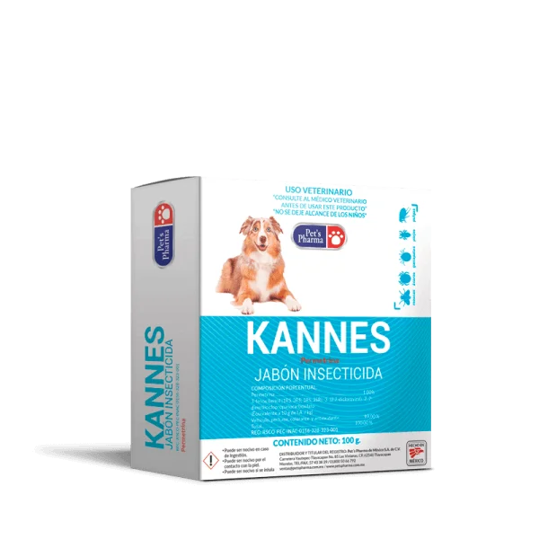 KANNES JABÓN INSECTICIDA 100 g