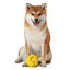 RUBBER BALL JUGUETE MASTICABLE PARA PERRO - ARM & HAMMER