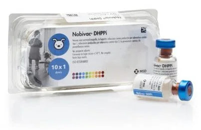 NOBIVAC DHPPI  - MSD