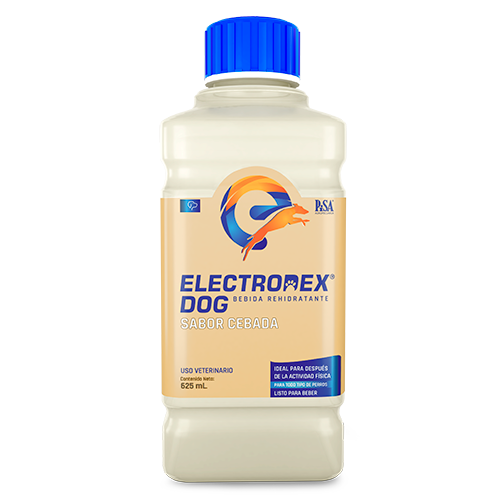 ELECTRODEX DOG CEBADA 650ML - PISA