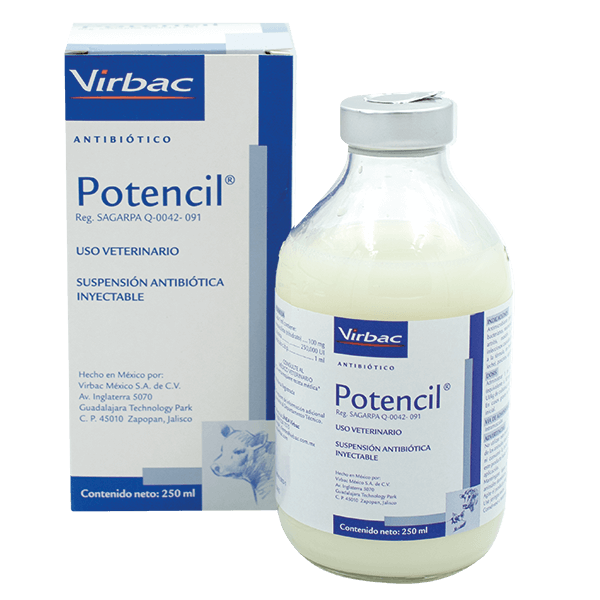 POTENCIL 100 ML INY VIRBAC