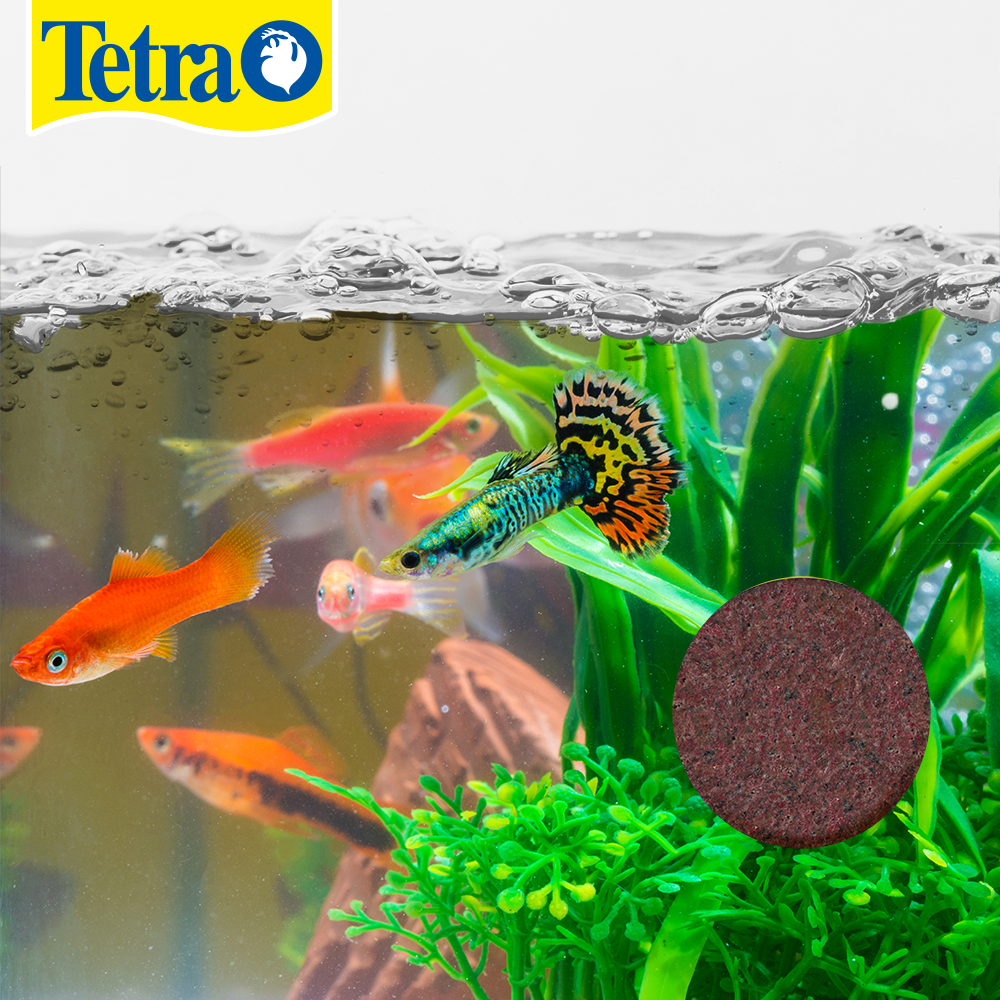 ALIMENTO EN GEL TETRAWEEKEND 0.8 OZ (24 G) TETRA