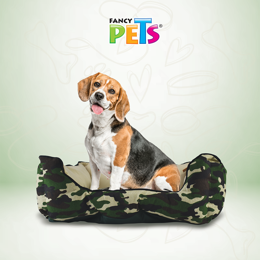 CAMA SAFARI FANCYPETS