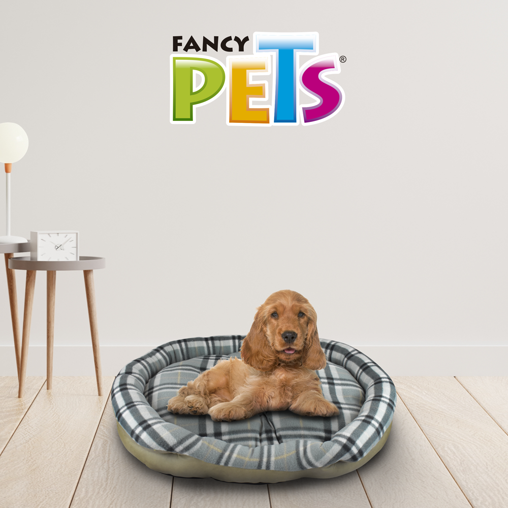 CAMA ASTON FANCYPETS