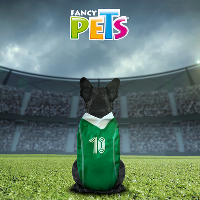 CAMISETA SOCCER MEXICO XCH FANCYPETS