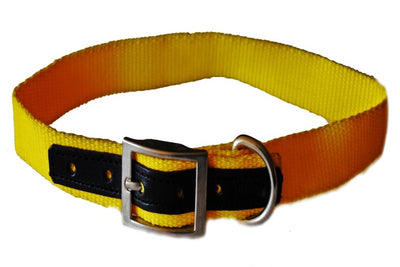 COLLAR DE NYLON CON PIEL 3CM - SILVERADO