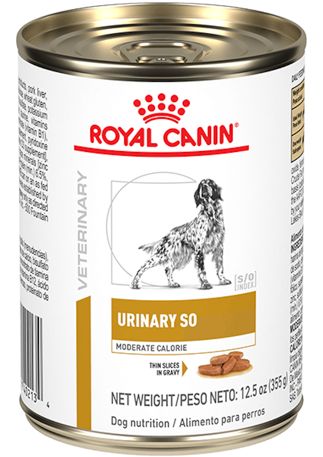 Royal Canin Urinary SO Mod Cal Morsels In Gravy lata