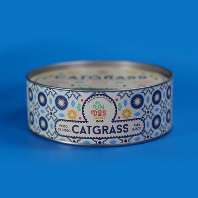 CAT GRASS - PASTO DE TRIGO PARA GATOS - UN DOS TREATS