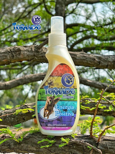 TORNADO LOCIÓN ENERGÍA POSITIVA 250 ML