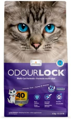 Intersand Arena aglutinante de arcilla Odour Lock aroma lavanda para gato