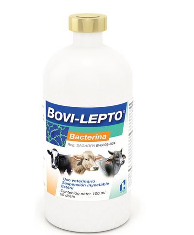 Bacterina Bovilecto Chinoin