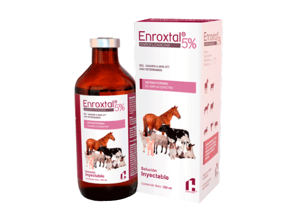 ENROXTAL 5% VET CHINOIN