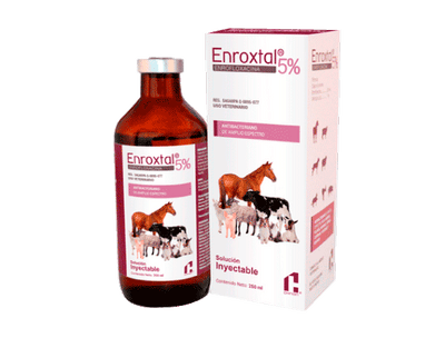 ENROXTAL 5% VET CHINOIN