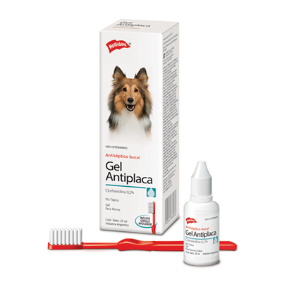 CLORHEXIDINA GEL ANTIPLACA 20 ML