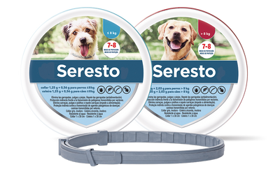 Seresto Collar Antipulgas y Garrapatas para Perros Y Gatos Menores de 8 kg