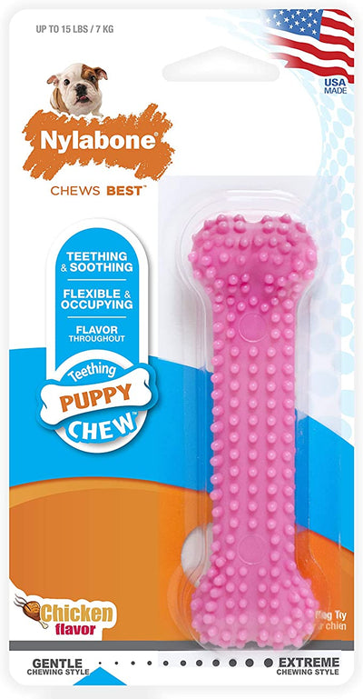 Nylabone Juguete Puppy Chew Dental Bone