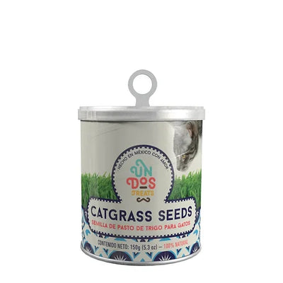 CAT GRASS SEEDS - PASTO DE AVENA Y CEBADA PARA GATOS 150GR - UN DOS TREATS