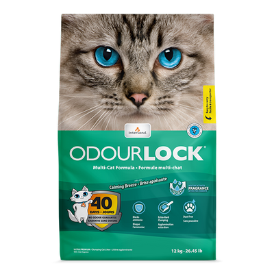 Intersand Arena aglutinante de arcilla odour lock aroma brisa calmante para gato