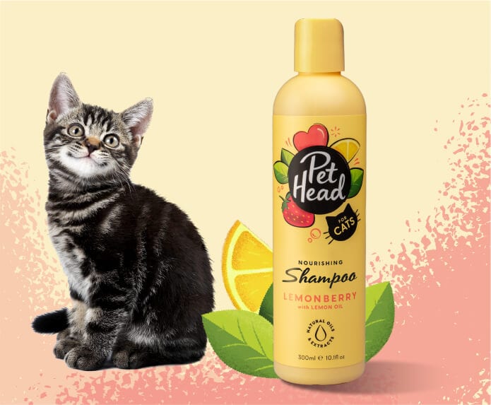 Pet Head Shampoo Felin' Good Gato 300ml