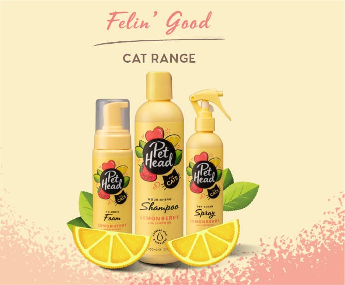 Pet Head Shampoo Felin' Good Gato 300ml